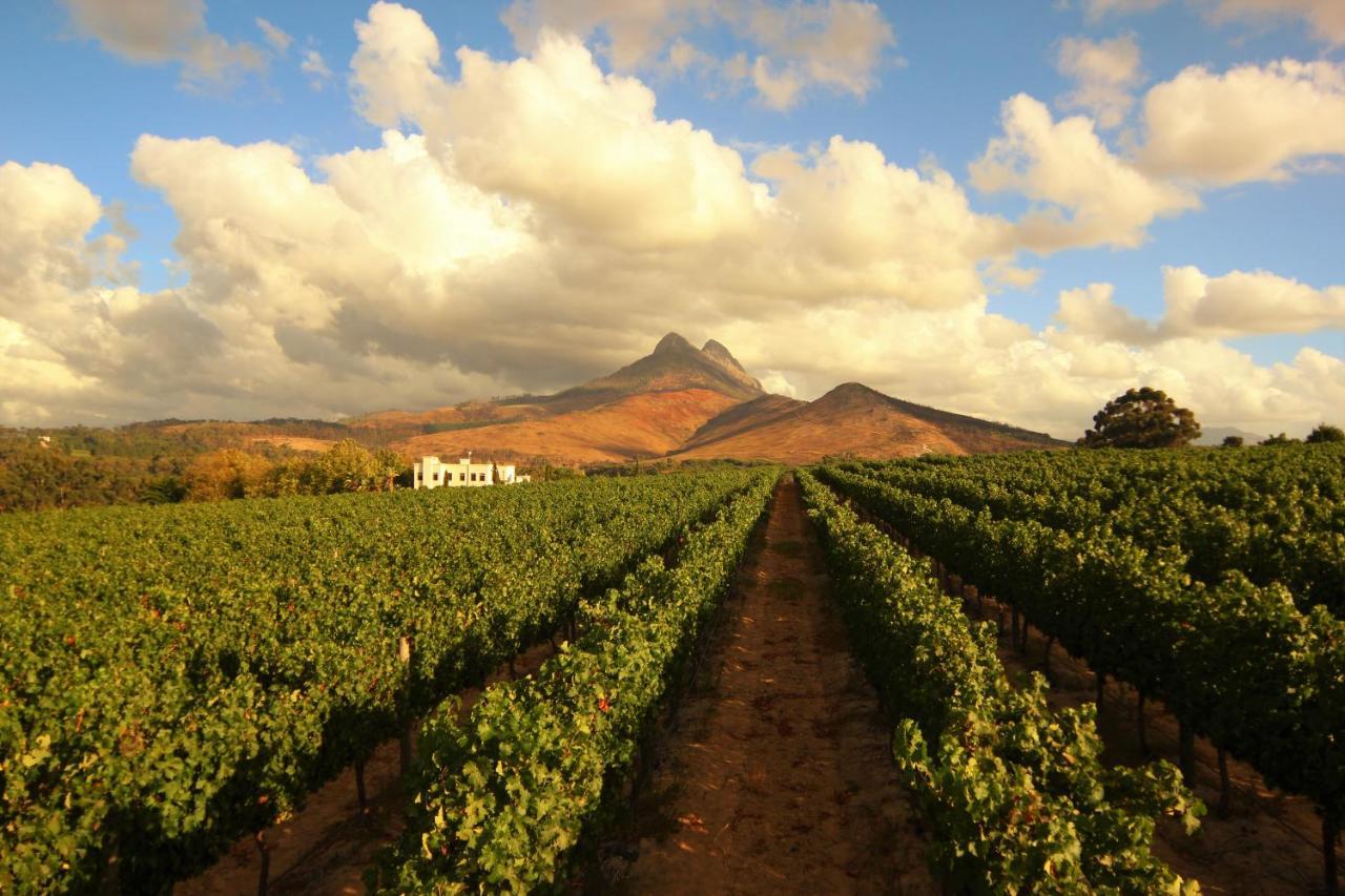 Mitre'S Edge Vineyard Studio Klapmuts Exterior photo